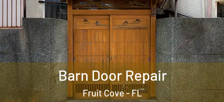  Barn Door Repair Fruit Cove - FL