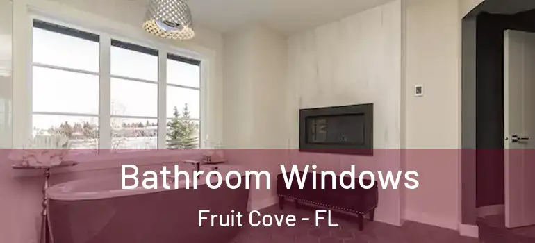  Bathroom Windows Fruit Cove - FL
