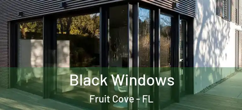  Black Windows Fruit Cove - FL