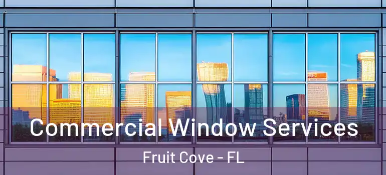  Commercial Window Services Fruit Cove - FL