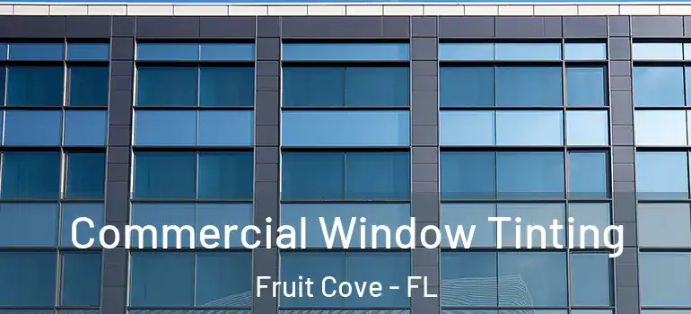 Commercial Window Tinting Fruit Cove - FL