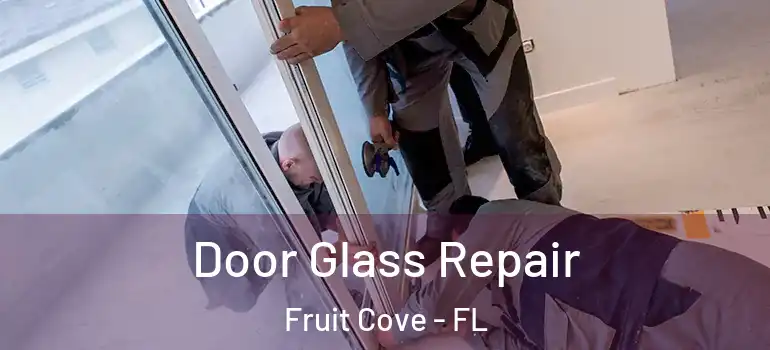  Door Glass Repair Fruit Cove - FL