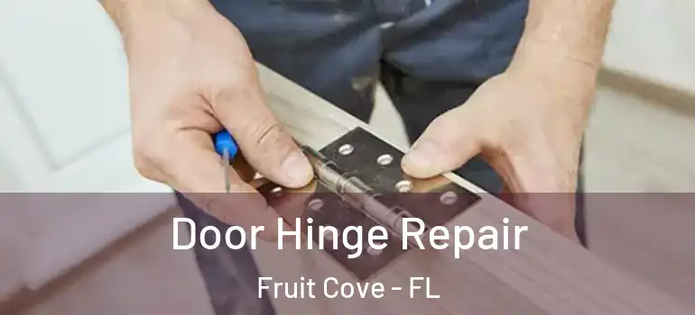  Door Hinge Repair Fruit Cove - FL
