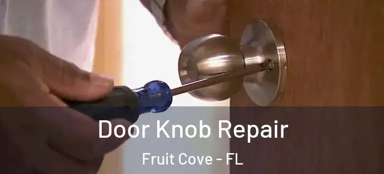  Door Knob Repair Fruit Cove - FL