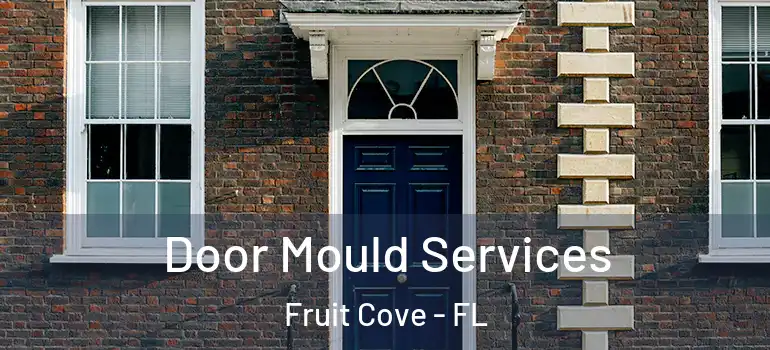  Door Mould Services Fruit Cove - FL