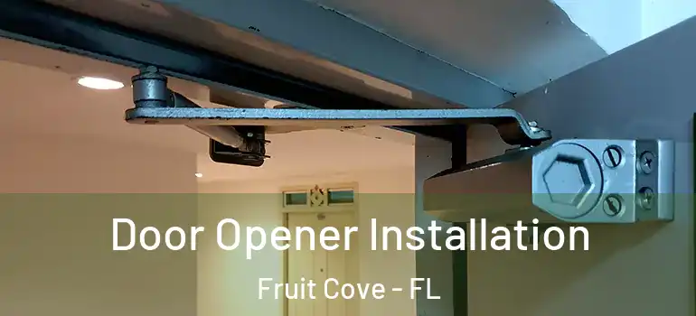  Door Opener Installation Fruit Cove - FL