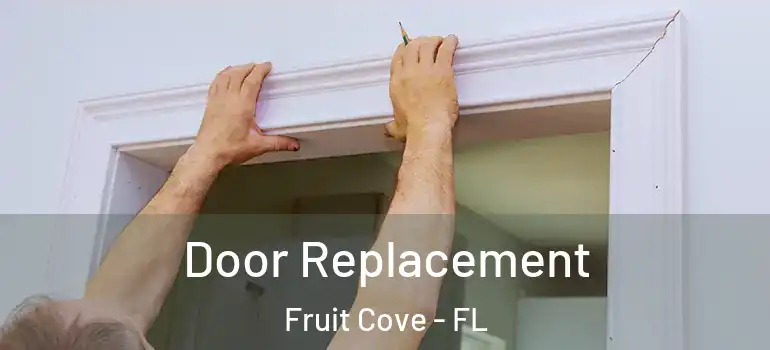  Door Replacement Fruit Cove - FL