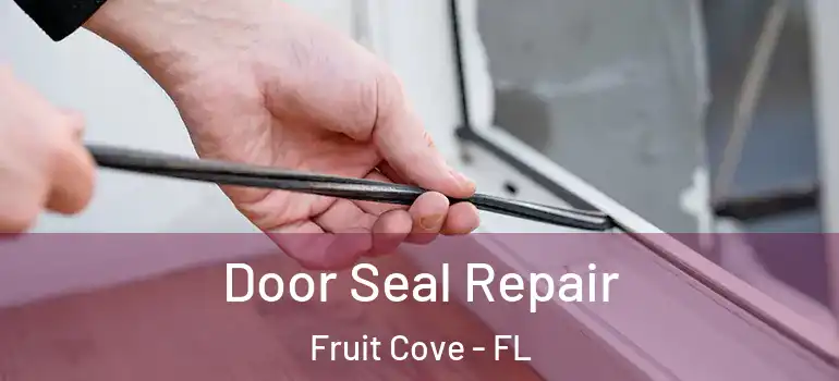  Door Seal Repair Fruit Cove - FL