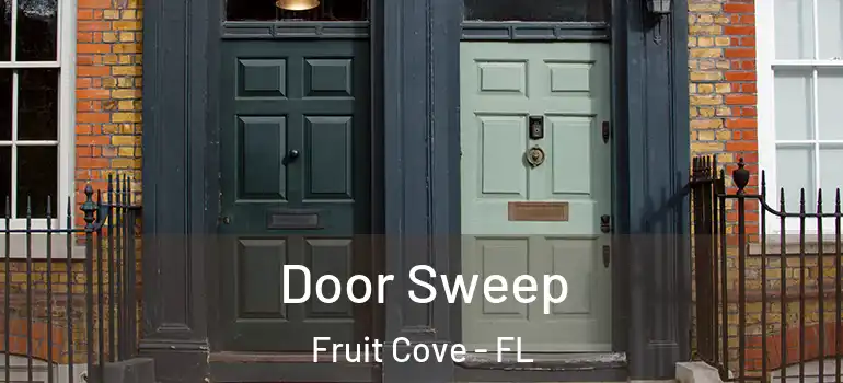  Door Sweep Fruit Cove - FL