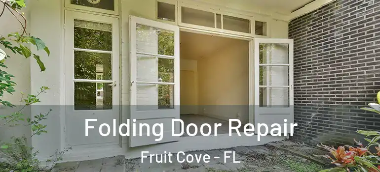  Folding Door Repair Fruit Cove - FL