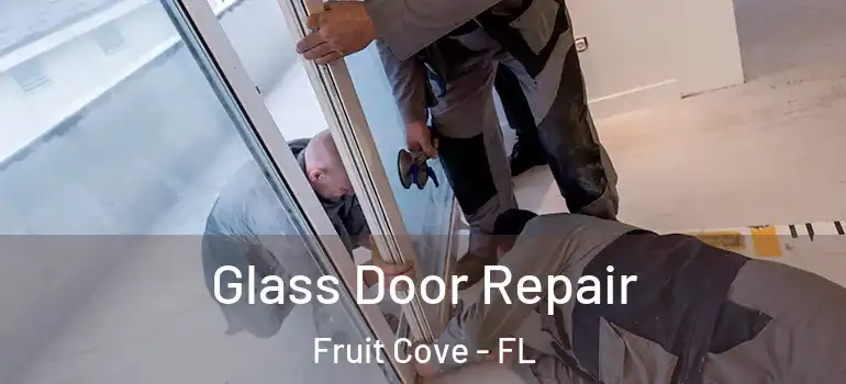  Glass Door Repair Fruit Cove - FL