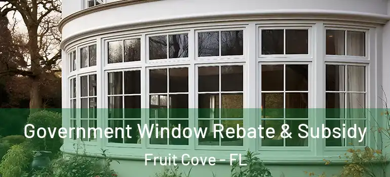  Government Window Rebate & Subsidy Fruit Cove - FL