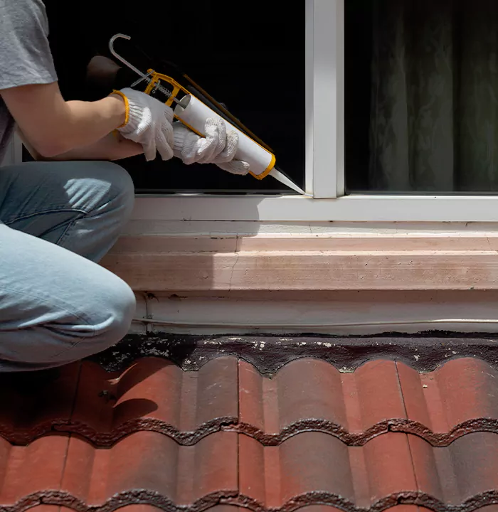 Roof Window Services in Fruit Cove, Florida