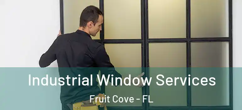  Industrial Window Services Fruit Cove - FL