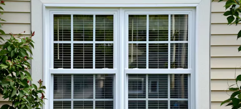 Custom Double Hung Windows in Fruit Cove, FL