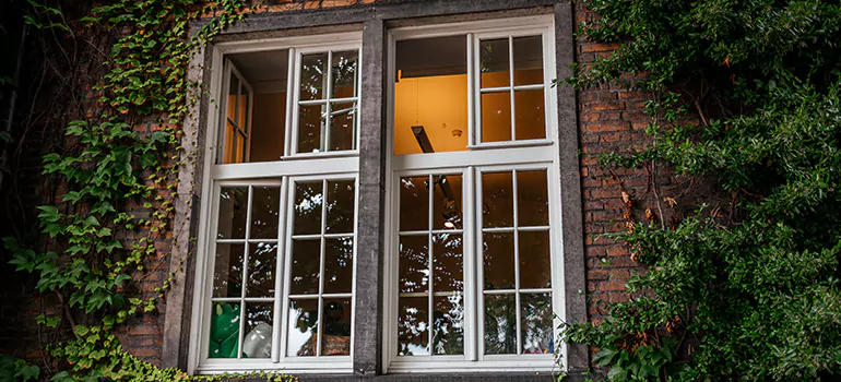 Energy Efficient Wood Windows in Fruit Cove, FL