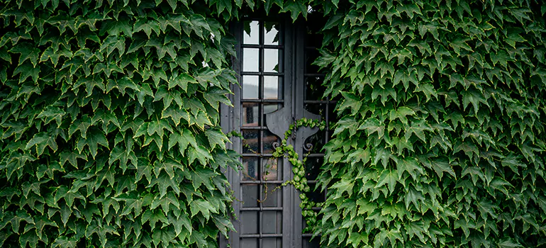 Garden Gate Repair in Fruit Cove, FL