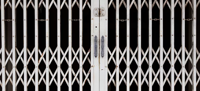 Steel Line Garage Door Repairs in Fruit Cove, FL
