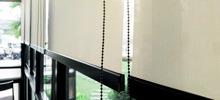 Blackout Window Shades in Fruit Cove, FL