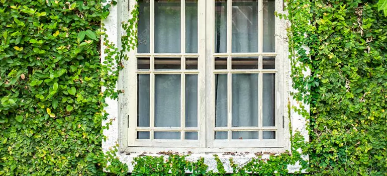 Garden Window Repair Near Me in Fruit Cove, FL