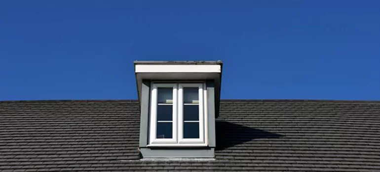 Roof Window Installation in Fruit Cove, FL