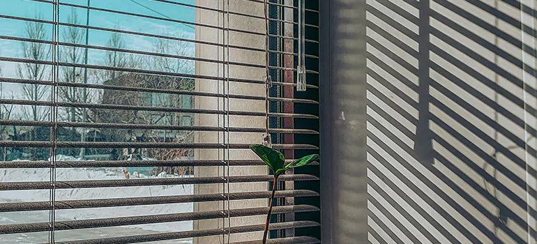 Commercial Window Blinds in Fruit Cove, FL