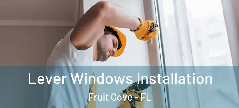  Lever Windows Installation Fruit Cove - FL