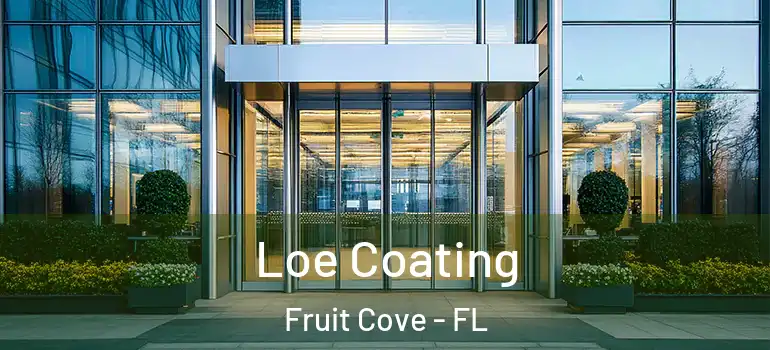  Loe Coating Fruit Cove - FL