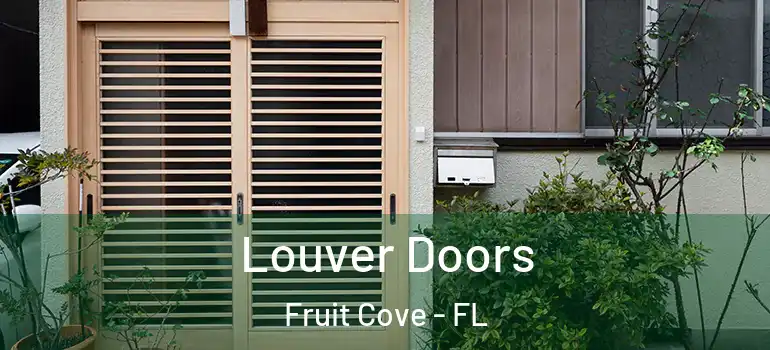  Louver Doors Fruit Cove - FL