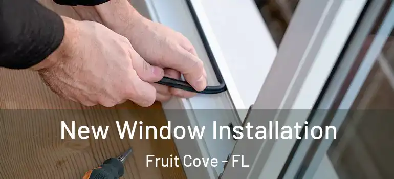  New Window Installation Fruit Cove - FL