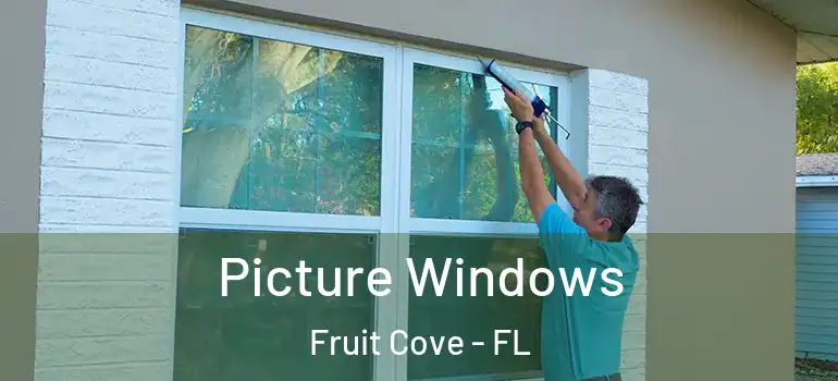  Picture Windows Fruit Cove - FL