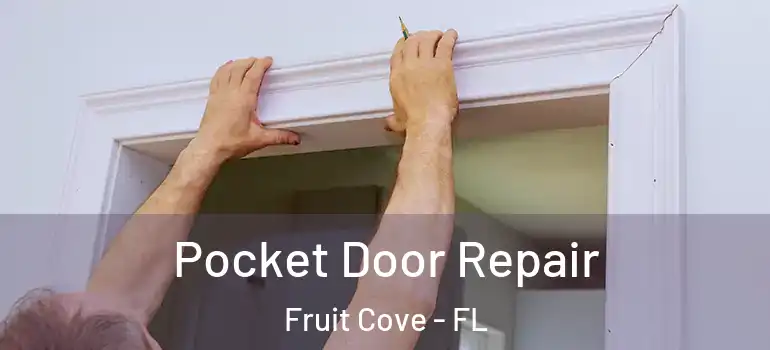  Pocket Door Repair Fruit Cove - FL