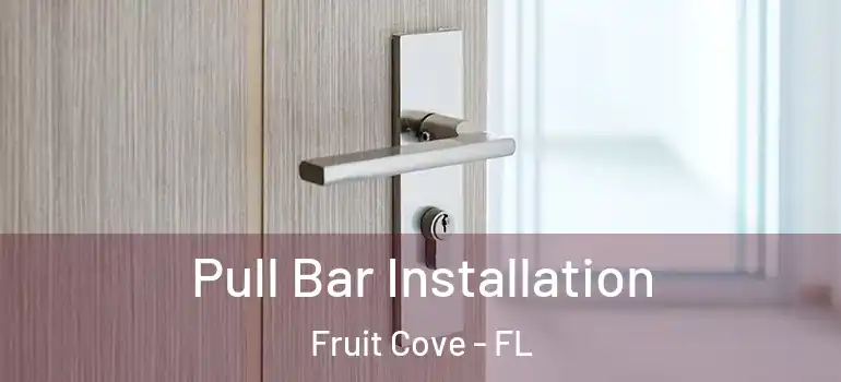  Pull Bar Installation Fruit Cove - FL