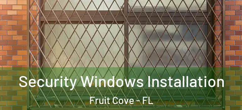  Security Windows Installation Fruit Cove - FL