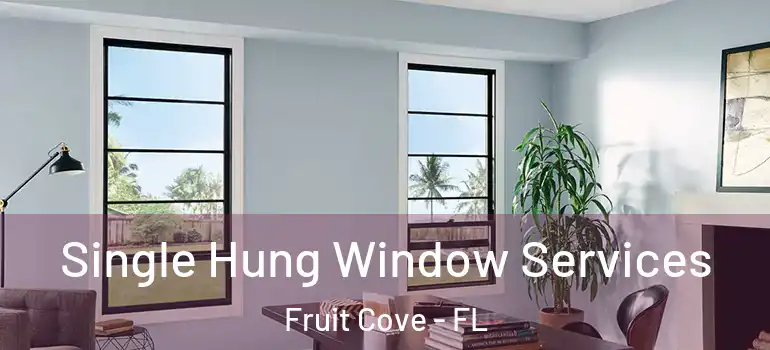  Single Hung Window Services Fruit Cove - FL