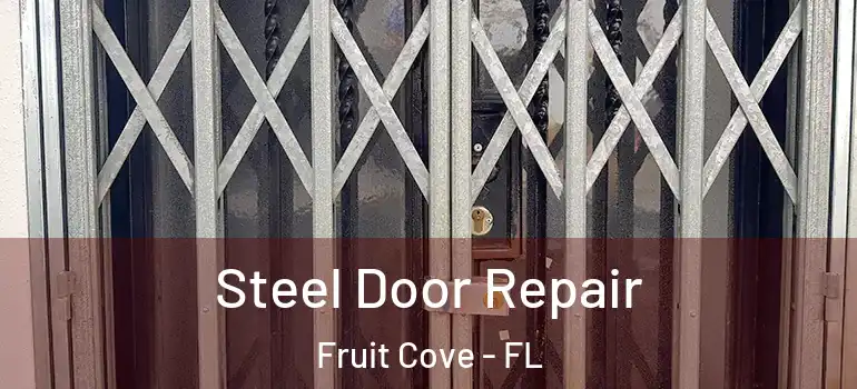  Steel Door Repair Fruit Cove - FL