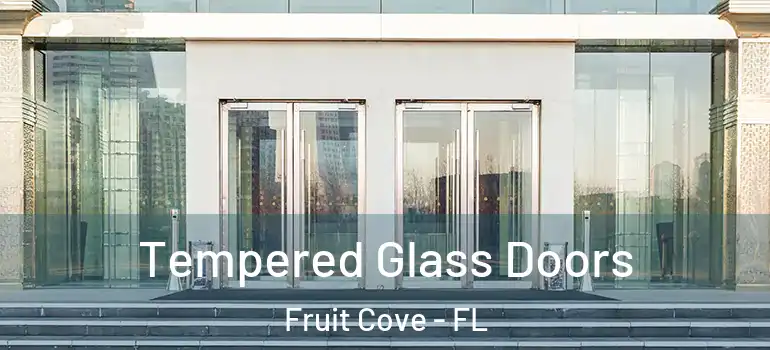  Tempered Glass Doors Fruit Cove - FL