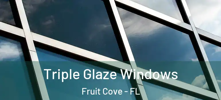  Triple Glaze Windows Fruit Cove - FL