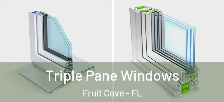  Triple Pane Windows Fruit Cove - FL
