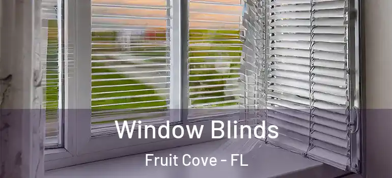  Window Blinds Fruit Cove - FL