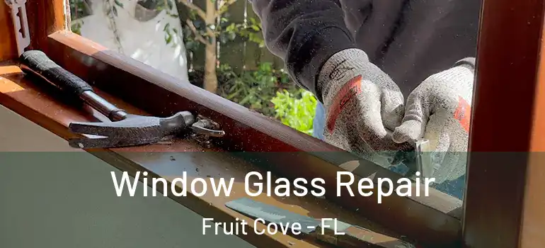  Window Glass Repair Fruit Cove - FL