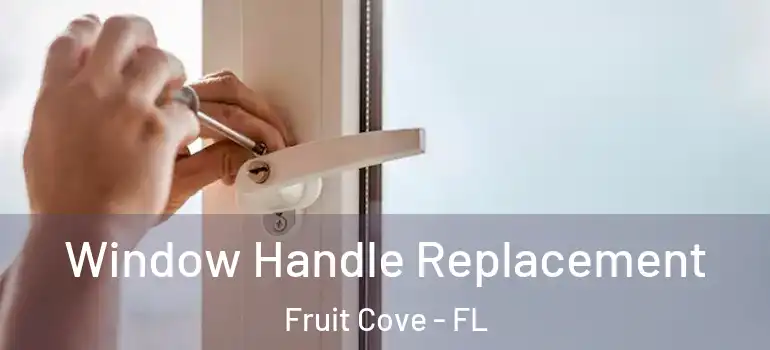  Window Handle Replacement Fruit Cove - FL