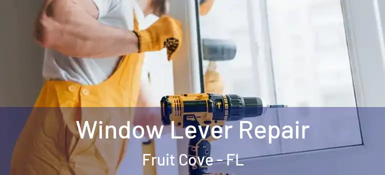  Window Lever Repair Fruit Cove - FL
