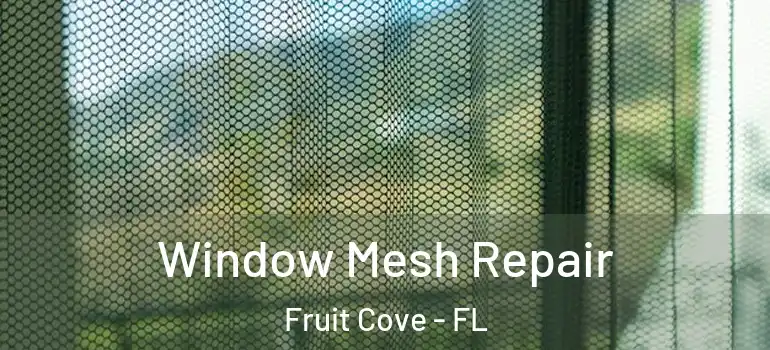  Window Mesh Repair Fruit Cove - FL
