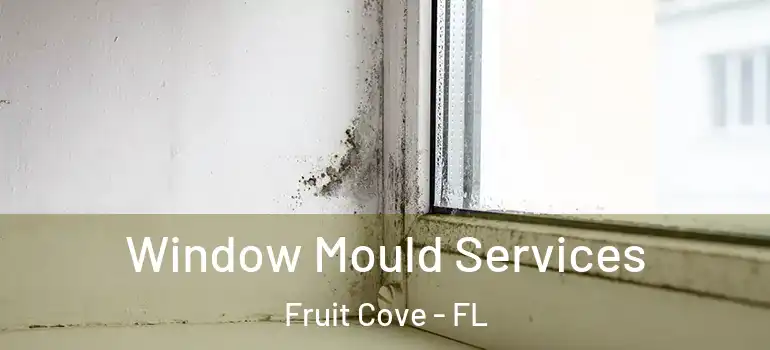  Window Mould Services Fruit Cove - FL
