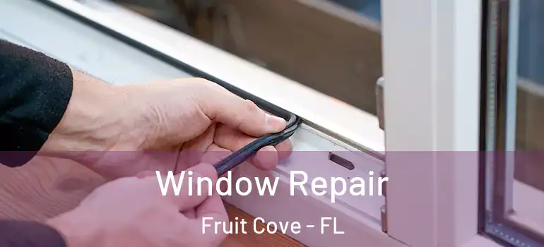  Window Repair Fruit Cove - FL