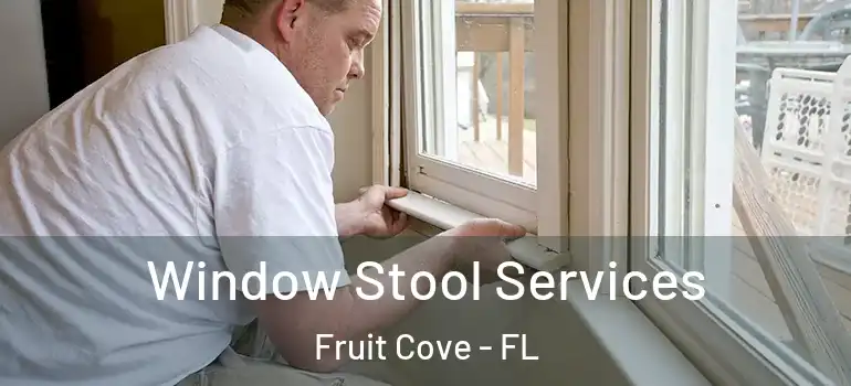  Window Stool Services Fruit Cove - FL